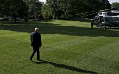 Searching for Clarity in a Trade War Fog