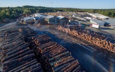 Falling Lumber Prices: What They’re Really Telling Us About Housing and Where the Opportunity Lies